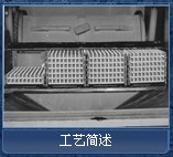 产品加工工艺简述 【详细资料请点击查看】